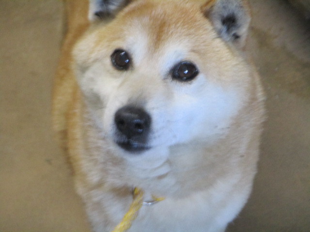 f0078320_01174389.jpg