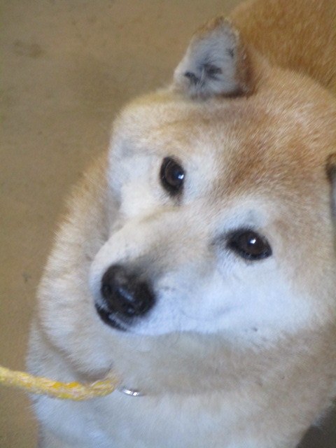 f0078320_01180934.jpg