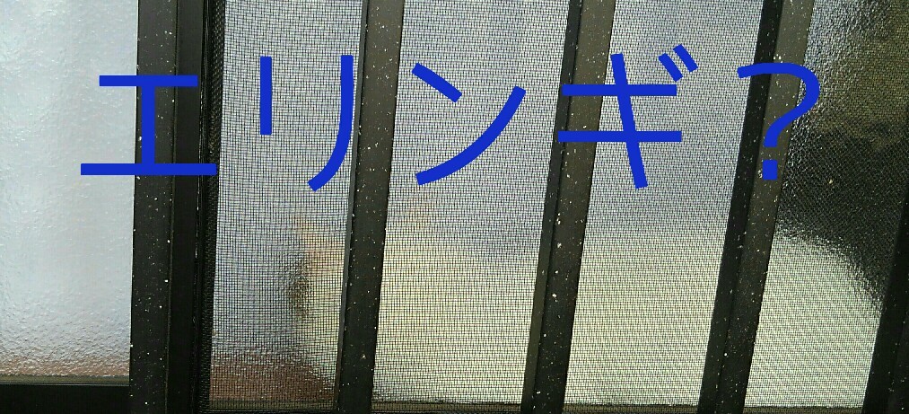 e0338831_03013690.jpg