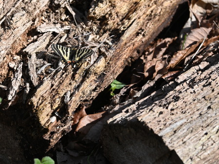 c0353632_17023997.jpg