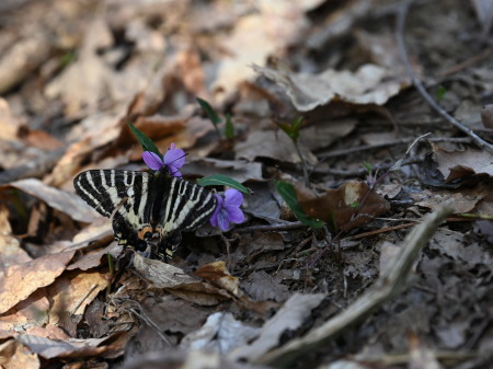 c0353632_17165250.jpg
