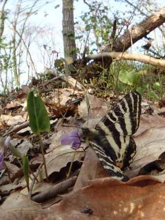 c0353632_17183463.jpg