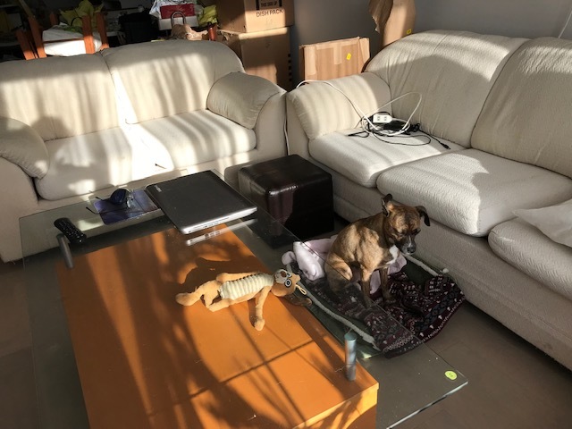 d0269832_20403288.jpeg