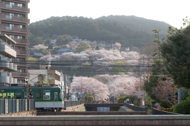 キラク写真講座 さくら撮影会② 大津 琵琶湖疏水編_e0369736_08430441.jpg