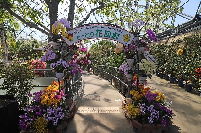 a0242438_20511286.jpg
