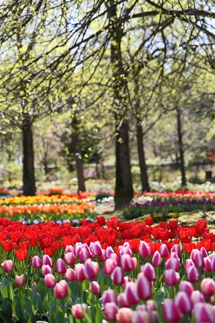 a0242438_20512683.jpg