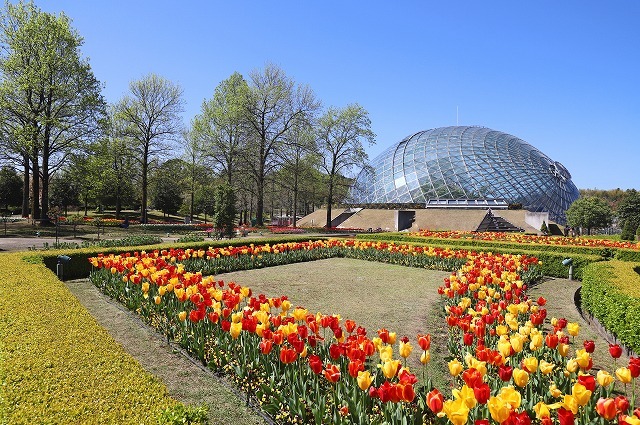 a0242438_20515139.jpg