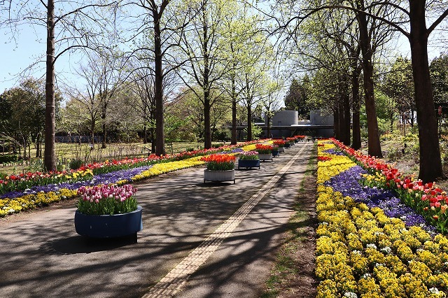 a0242438_20515195.jpg