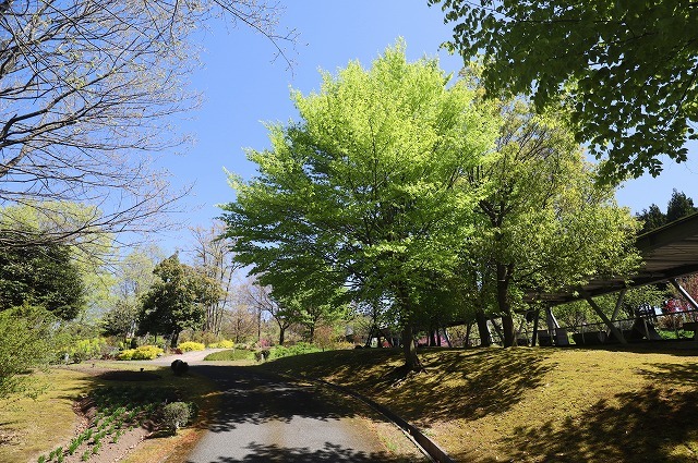 a0242438_20521440.jpg