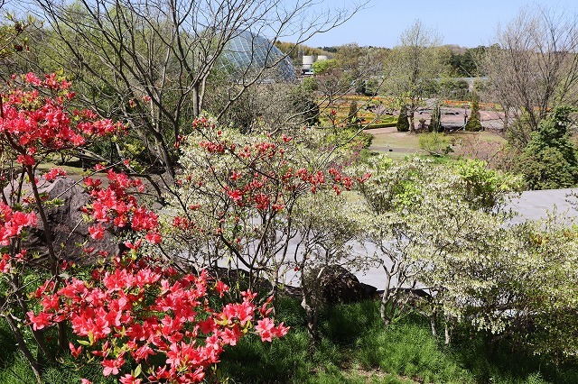 a0242438_20522678.jpg