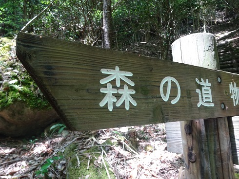 福岡浮羽町 長岩城跡 空見て思う