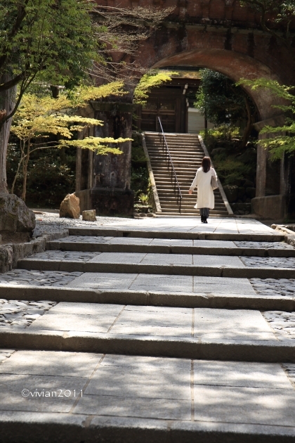 京都 南禅寺、無鄰菴、そして永観堂 ~美しい青モミジ~ _e0227942_22223392.jpg