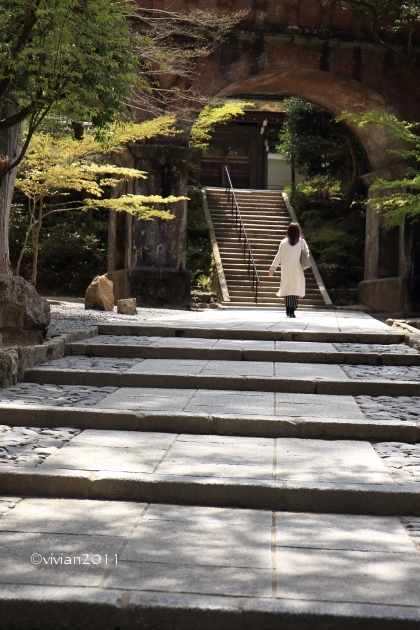 京都　南禅寺、無鄰菴、そして永観堂　～美しい青モミジ～　_e0227942_22223392.jpg