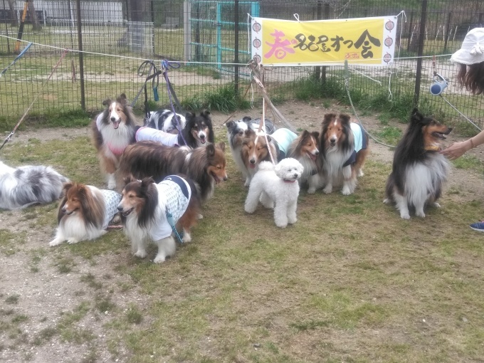春の名古屋オフ会♪その１_e0195743_14402755.jpg