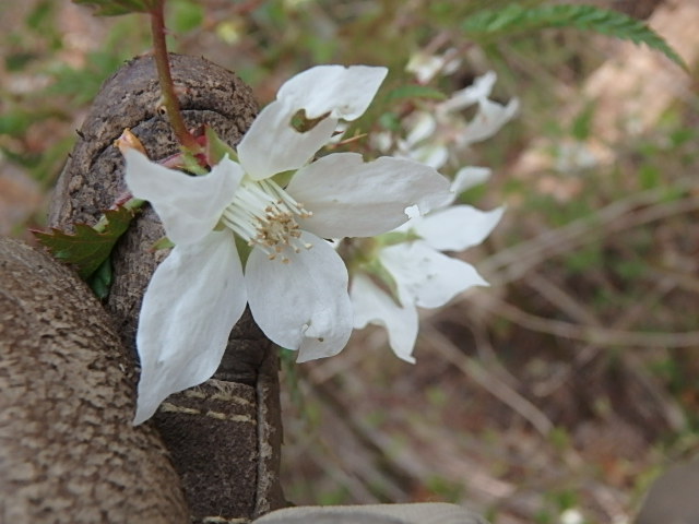 f0334143_2224437.jpg