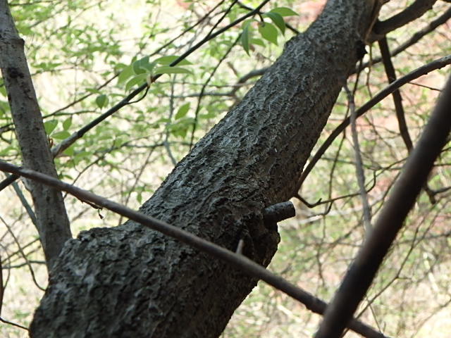 f0334143_2226577.jpg
