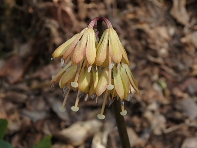 f0334143_22293659.jpg