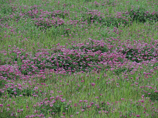 f0214649_03301578.jpg