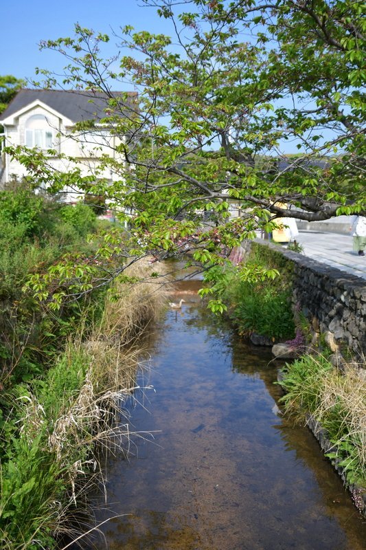 e0354451_06550158.jpg