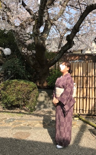 北野をどり最終・螺鈿兎帯・桜の簪・連休の営業。_f0181251_17155131.jpg