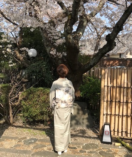 北野をどり最終・螺鈿兎帯・桜の簪・連休の営業。_f0181251_17235994.jpg