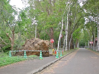 c0290656_20502413.jpg