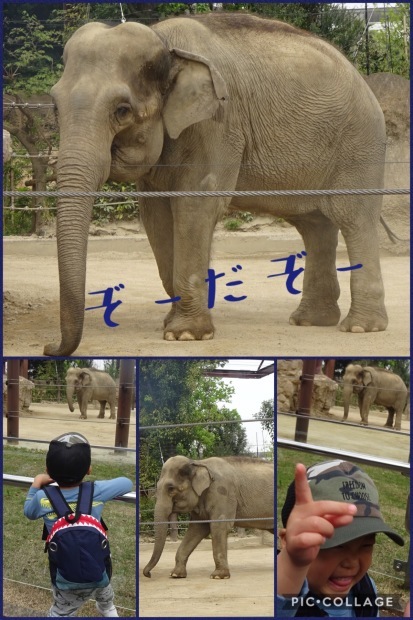 冬眠から覚めて、、、動物園⁉️_f0198556_18431758.jpeg