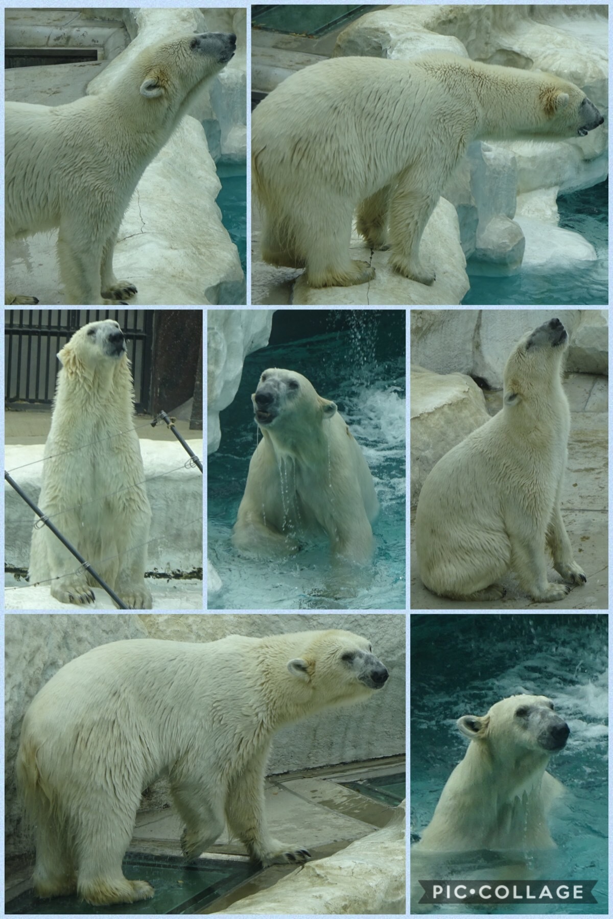 冬眠から覚めて、、、動物園⁉️_f0198556_18571294.jpeg