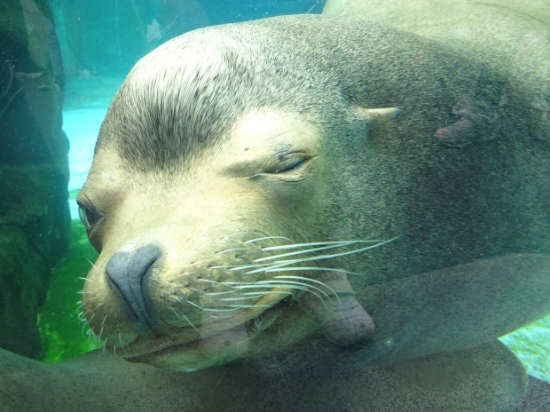 冬眠から覚めて、、、動物園⁉️_f0198556_21243925.jpeg