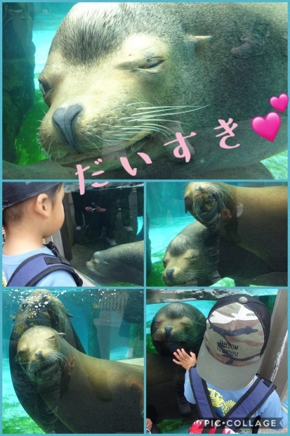 冬眠から覚めて、、、動物園⁉️_f0198556_23403634.jpeg