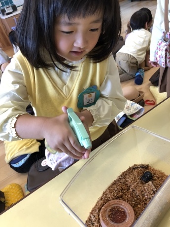 a0051662_17201697.jpeg