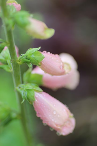 小雨の中で_e0232963_19250057.jpg