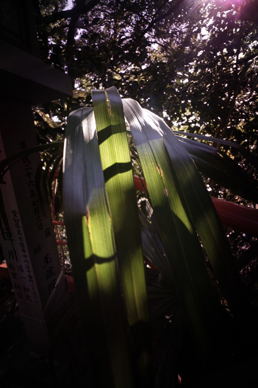 c0168172_23092922.jpg