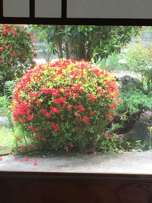 岡山県下倉,槻(通称)にて_a0125981_20095499.jpeg