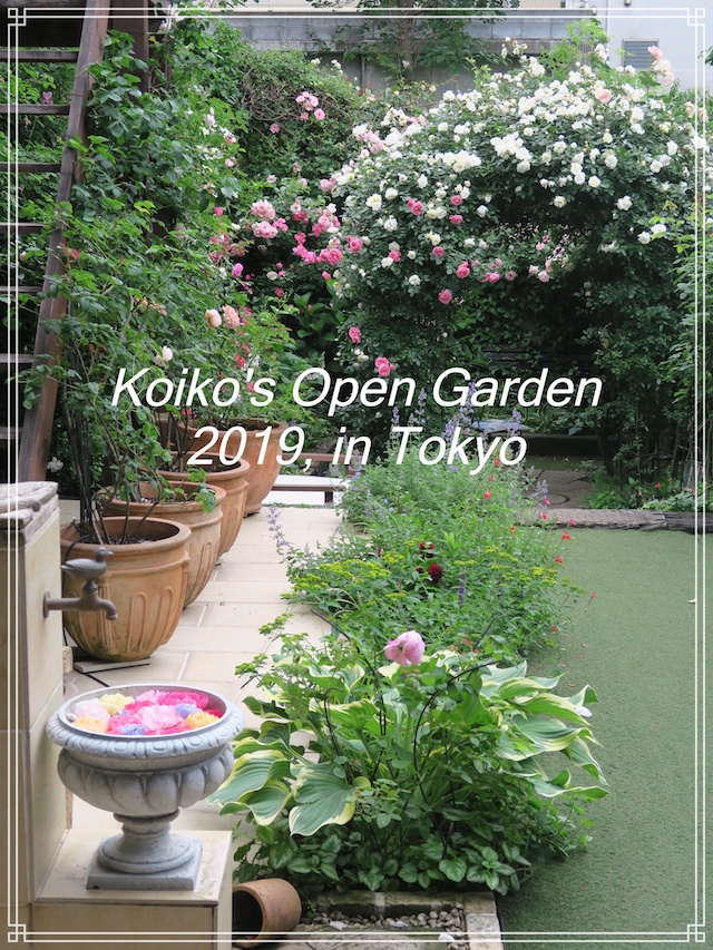 「Koiko\'s Open Garden in Tokyo 恋子のオープンガーデン 2019」_d0049381_02455522.jpg