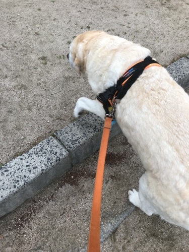 f0315081_23071248.jpeg