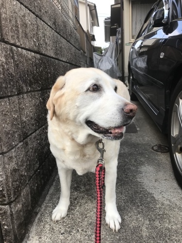f0315081_23081321.jpeg