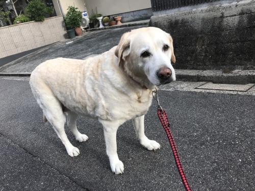 f0315081_23084259.jpeg