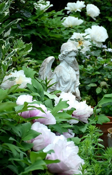 d0099791_16090613.jpg