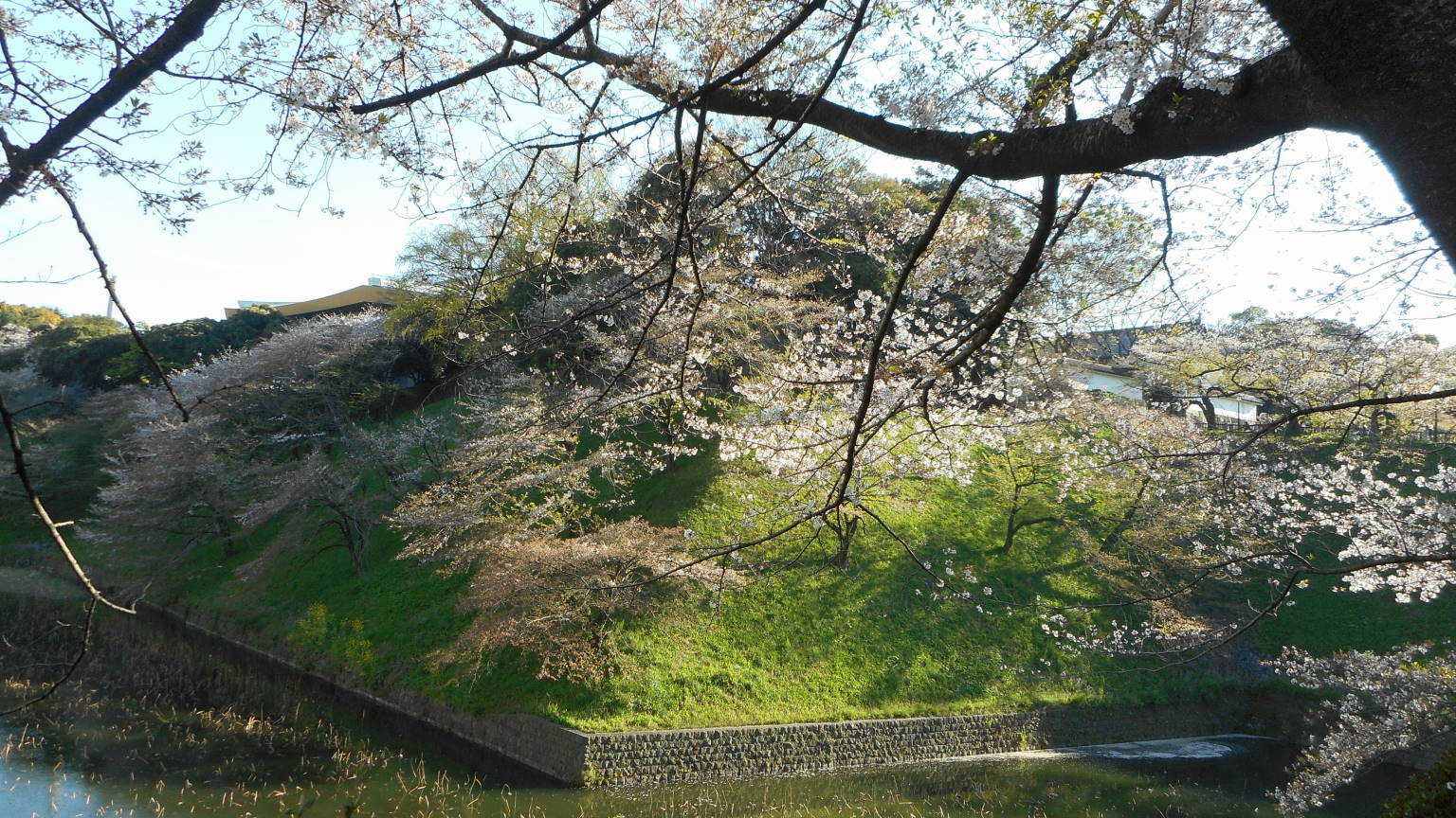 f0075595_00274873.jpg