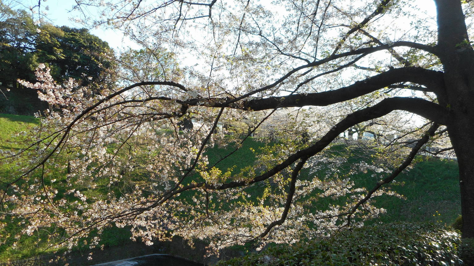 f0075595_00291721.jpg