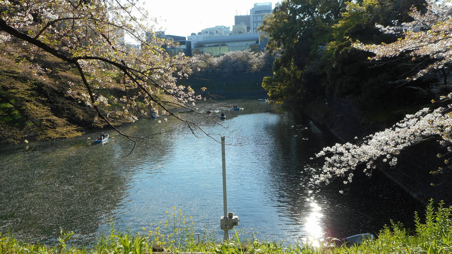 f0075595_00330788.jpg