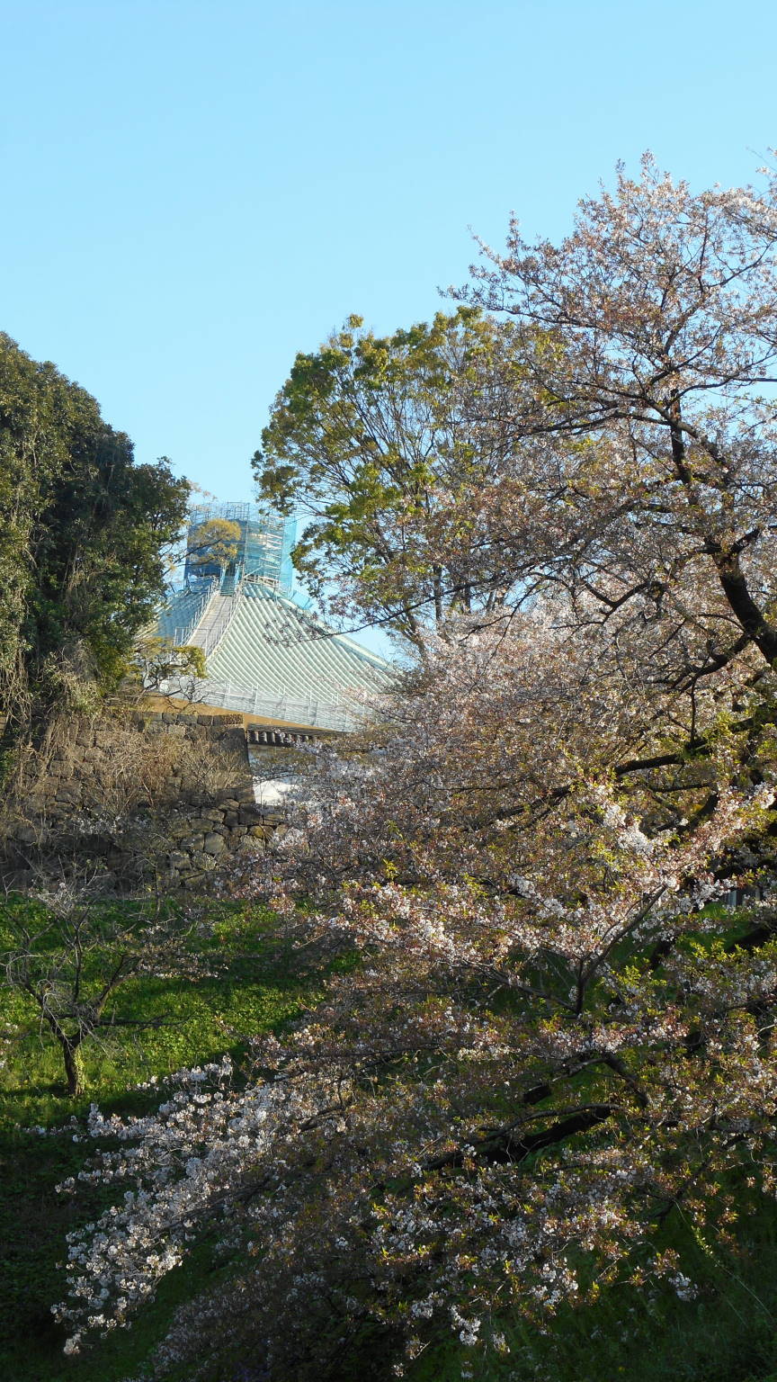 f0075595_00350573.jpg