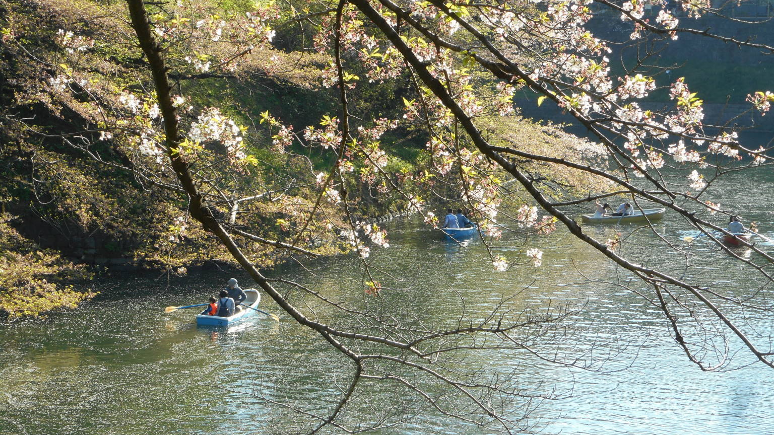 f0075595_00371439.jpg