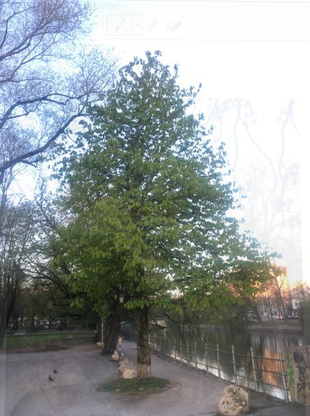 b0362900_19372000.jpg