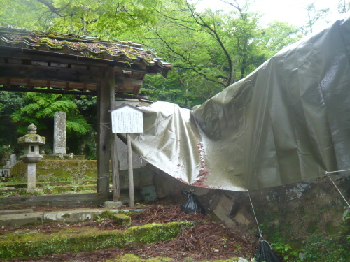 天皇陛下のブルーギル 持ち帰り謝罪 発言 舞台裏を証言 浄華 浄水 浄業