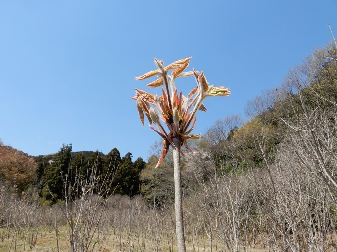 哲学の日_e0148806_21482244.jpg