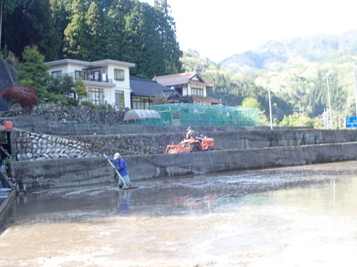 田んぼの代掻き_c0116915_23490262.jpg