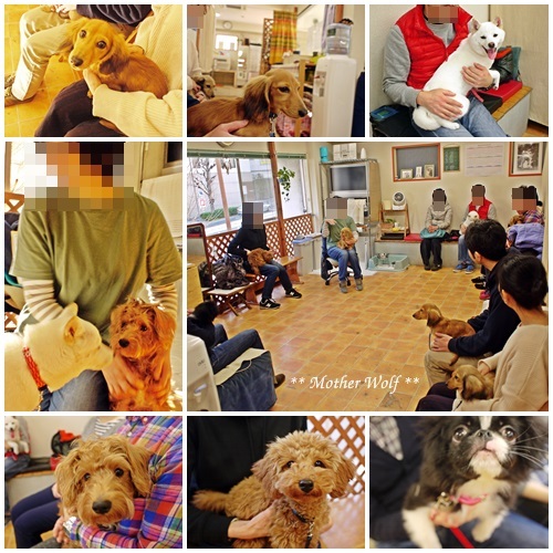パピーパーティーです♪_e0191026_17184923.jpg