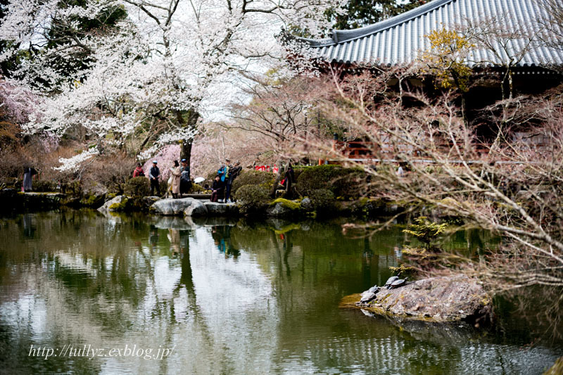 早春の京都2019（１８）_d0108132_13131235.jpg